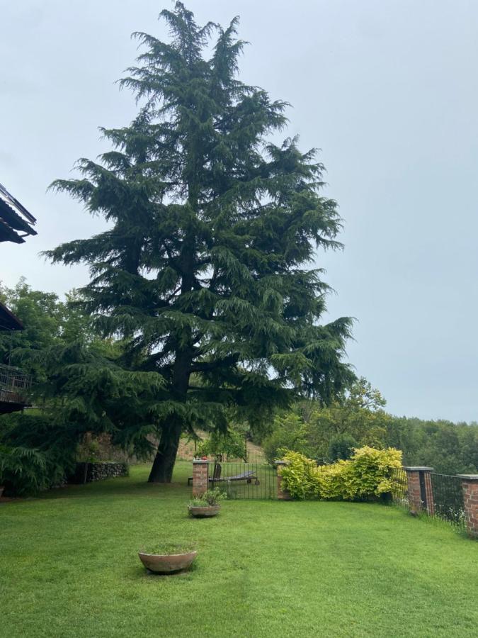 Al Riccio Bed and Breakfast Cocconato Exteriör bild