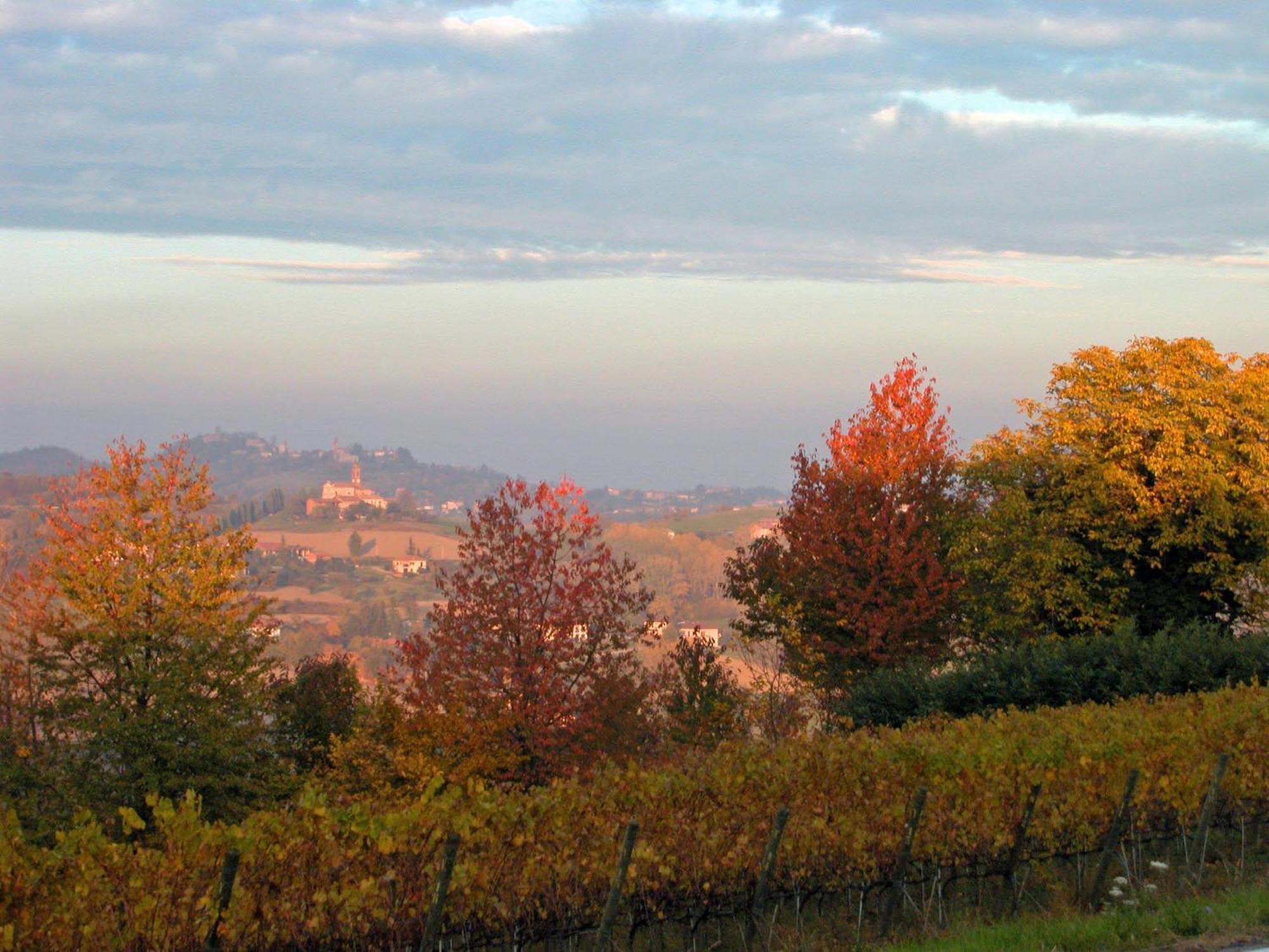 Al Riccio Bed and Breakfast Cocconato Exteriör bild